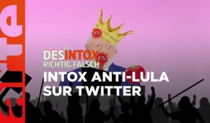 Intox anti-Lula sur Twitter | Désintox | ARTE