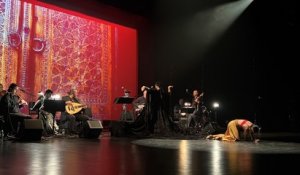 Le spectacle "Harem, aux frontières de l'interdit" a clôturé la 23ème édition du Festival du monde arabe de Montréal le 13 novembre
