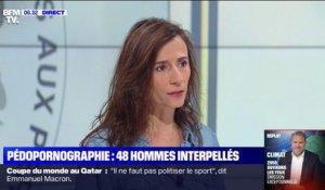 Pédopornographie: 48 hommes, dont plusieurs élus, interpellés en France