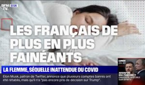 Depuis le Covid et les confinements, les Français ont de plus en plus la flemme