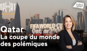 Qatar : la coupe du monde des polémiques
