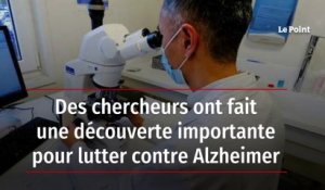 Des chercheurs ont fait une découverte importante pour lutter contre Alzheimer