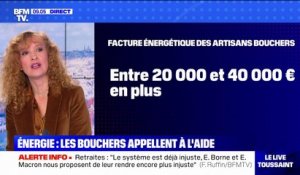 Inflation: "La problématique des notes énergétiques nous met en difficulté", affirme la présidente du syndicat des bouchers de Paris