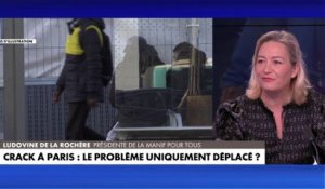 Ludovine de La Rochère sur le crack à Paris : «Il y a un problème d’autorité et de volonté politique de l’Etat»
