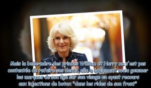 Camilla Parker Bowles - dents, botox, peeling, régime… Sa transformation physique aurait coûté très