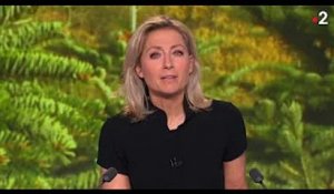 France 2 : pourquoi Anne-Sophie Lapix va s’éloigner du JT 20H en plein succès