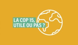 La COP15, utile ou pas?