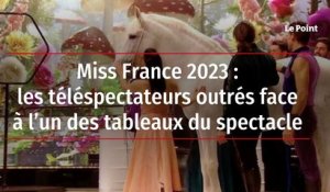 Miss France 2023 : les téléspectateurs outrés face à l’un des tableaux