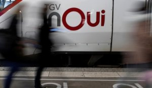 Grève à la SNCF : 2 trains sur 3 prévus en moyenne le week-end de Noël
