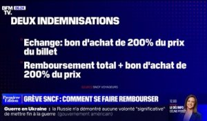 Grève à la SNCF: comment se faire rembourser son billet en cas de train annulé ?