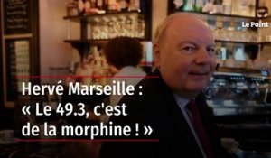 Hervé Marseille : « Le 49.3, c'est de la morphine ! »