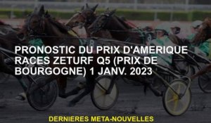 PROGNOSE POUR L'AMÉRIQUE PRIX RACES ZEURF Q5  Jan 2023