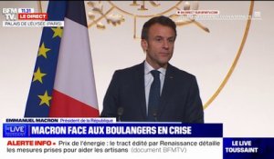 Lors de ses vœux aux boulangers, Emmanuel Macron se dit "mobilisé à leurs côtés"