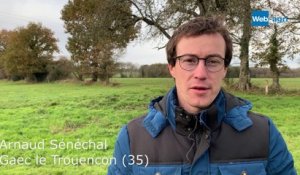Reportage au Gaec le Trouencon (35) en système pâturant