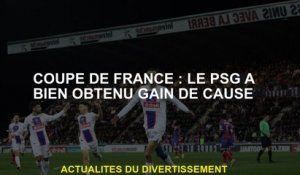 Coupe française: le PSG a remporté l'affaire