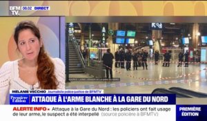 Paris: un homme blesse plusieurs personnes à l'arme blanche à la gare du Nord avant d'être neutralisé