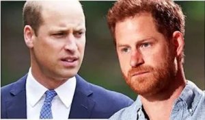 Le prince Harry a averti William rift "irréparable" après une "att@que directe" contre son frère et
