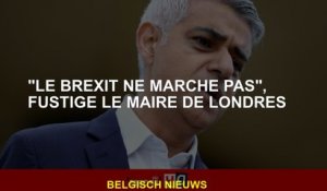 "Le Brexit ne fonctionne pas", fustige le maire de Londres