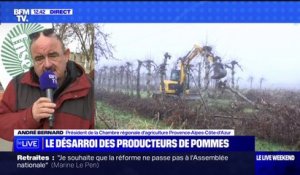 André Bernard, de la Chambre d'agriculture de la région PACA, sur le désarroi des producteurs de pommes: "C'est une économie qui s'en va, c'est un patrimoine qui s'en va"