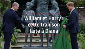 William et Harry : cette trahison faite à Diana