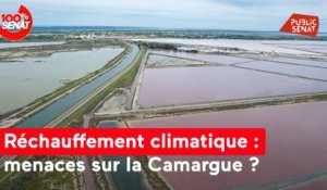 Réchauffement climatique : menaces sur la Camarque ?