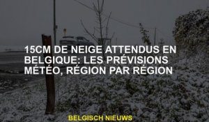 15 cm de neige attendue en Belgique: prévisions météorologiques, région par région