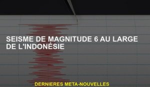 Magnitude 6 tremblement de terre de l'Indonésie