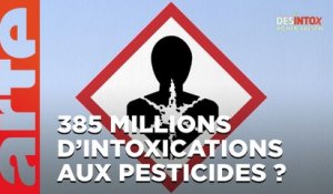 385 millions de personnes par an intoxiquées aux pesticides ? | 17/01/2023 | Désintox | ARTE