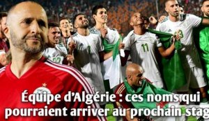 Équipe d’Algérie : ces noms qui pourraient arriver au prochain stage.