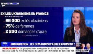 Les chiffres clés de l'immigration en France dévoilés par le ministère de l'Intérieur