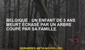 Belgique: Un meurt de 5 ans meurt écrasé par un arbre coupé par sa famille