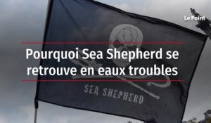 Pourquoi Sea Shepherd se retrouve en eaux troubles