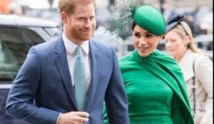 Le prince Harry et Meghan Markle pourraient faire face à des difficultés financières