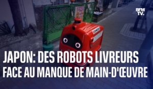 Le Japon va autoriser les robots livreurs pour faire face au manque de main-d'œuvre