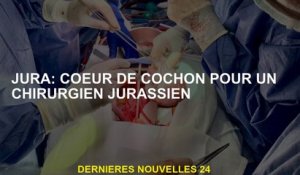 Jura: le cœur du cochon pour un chirurgien de jura