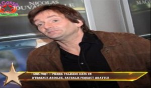 « Sois fort » : Pierre Palmade dans un  d'urgence absolue, Nathalie Pernaut abattue