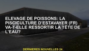 Élevage de poissons: l'estavayer  ferait-il de la piscine de la tête de l'eau?