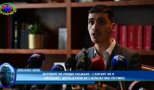 Accident de Pierre Palmade : L'enfant de 6  "défiguré", révélations de l'avocat des victimes