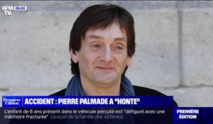 Accident de Pierre Palmade: le comédien est "catastrophé" et a "honte", selon sa sœur