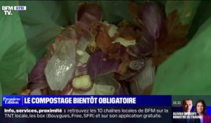 À quoi sert le compostage, qui deviendra obligatoire en 2024 en France ?