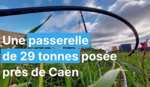 pose-dune-passerelle-sur-la-deviation-vimont-bellengreville