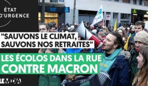 "SAUVONS LE CLIMAT, SAUVONS NOS RETRAITES" : LES ÉCOLOS DANS LA RUE CONTRE MACRON