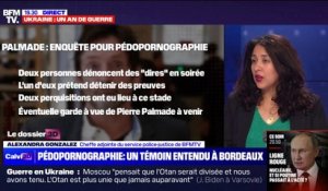 Images pédopornographiques: l'audition du deuxième accusateur de Pierre Palmade est terminée