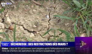 Sècheresse hivernale en France: des restrictions dès mars?