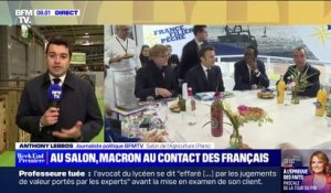 Salon de l'agriculture: les enjeux de la visite d'Emmanuel Macron