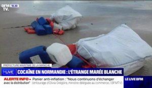 Tonnes de cocaïne échouées en Normandie: le mystère reste entier