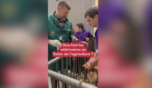Que font les vétérinaires au Salon de l'agriculture ?