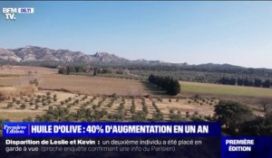 Huile d'olive: pourquoi les prix augmentent?