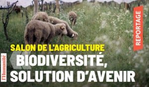 Biodiversité et agriculture : le voyage des solutions de Roch et Boniface.