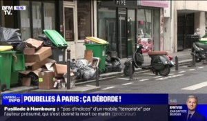 "Voir des poubelles à l'entrée d'un magasin d'alimentation, c'est pas beau à voir" raconte des commerçants exaspérés par la grève des éboueurs